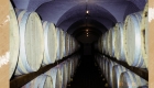 Vinificazione