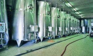 Immagine La gestione della macerazione nella vinificazione in rosso