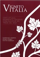 Vigneto Italia
