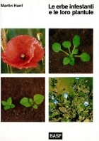 Le erbe infestanti e le loro plantule