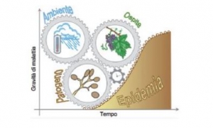 Immagine Modelli matematici per la difesa dalle malattie