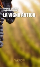 La vigna antica