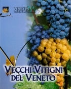 Vecchi vitigni del veneto