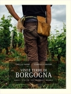 Vini e terre di Borgogna