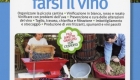 CONSIGLI PRATICI E ATTREZZATURE PER FARSI IL VINO