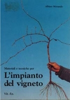 L'impianto del vigneto