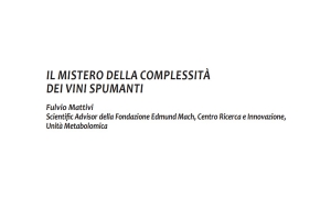 Immagine Il mistero della complessità dei vini spumanti