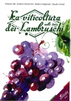 La viticoltura nelle terre dei Lambruschi